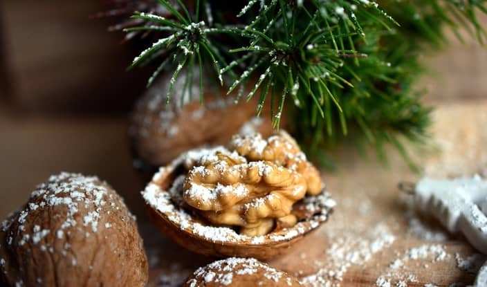 walnuts, tree, snow