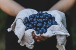 blueberries superfoods