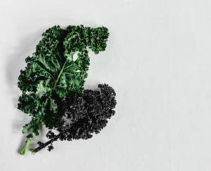 kale superfoods