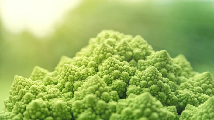 best vegetables for weight loss