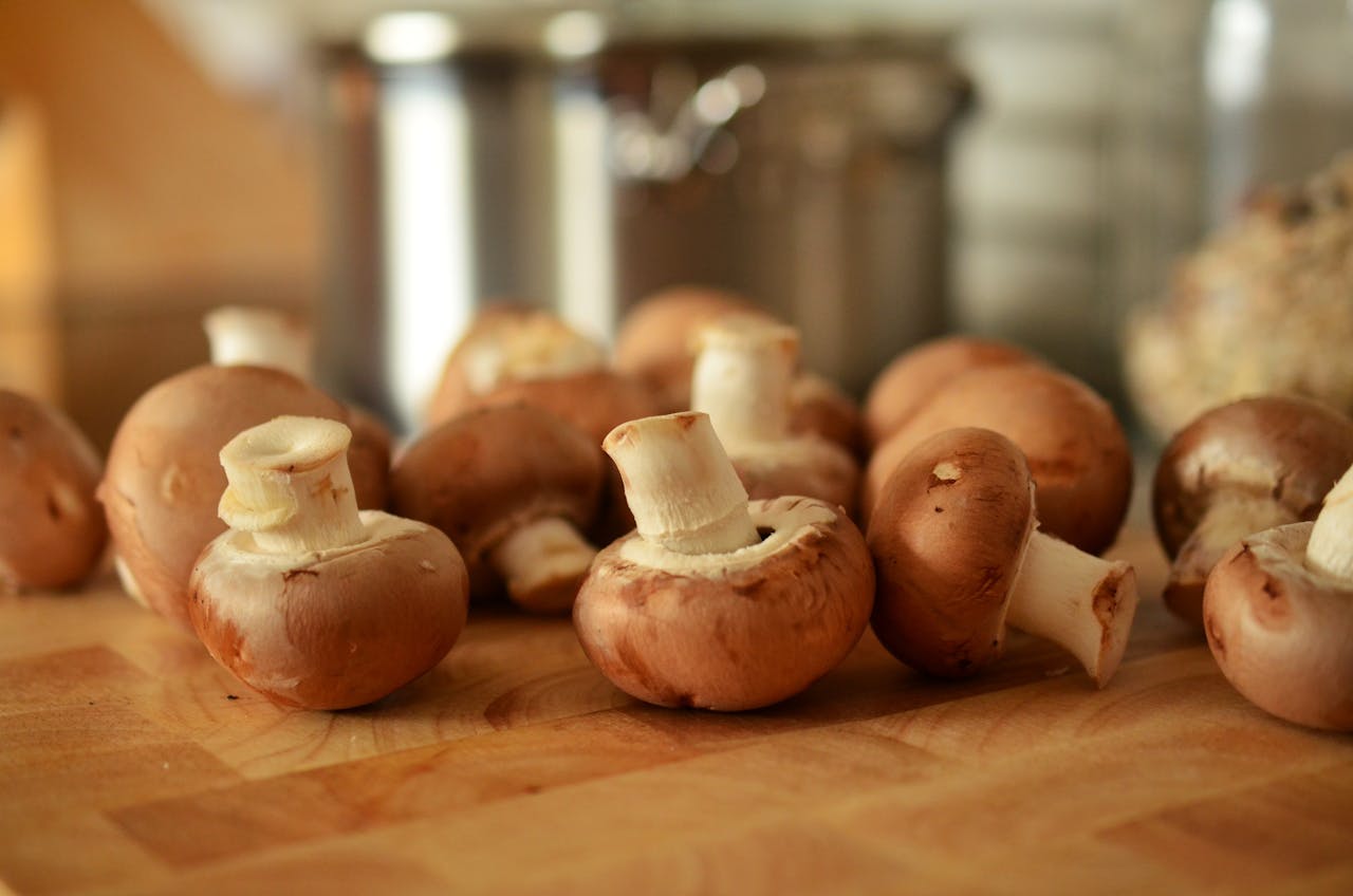 Mushroom Benefits Mushrooms and Nutrition