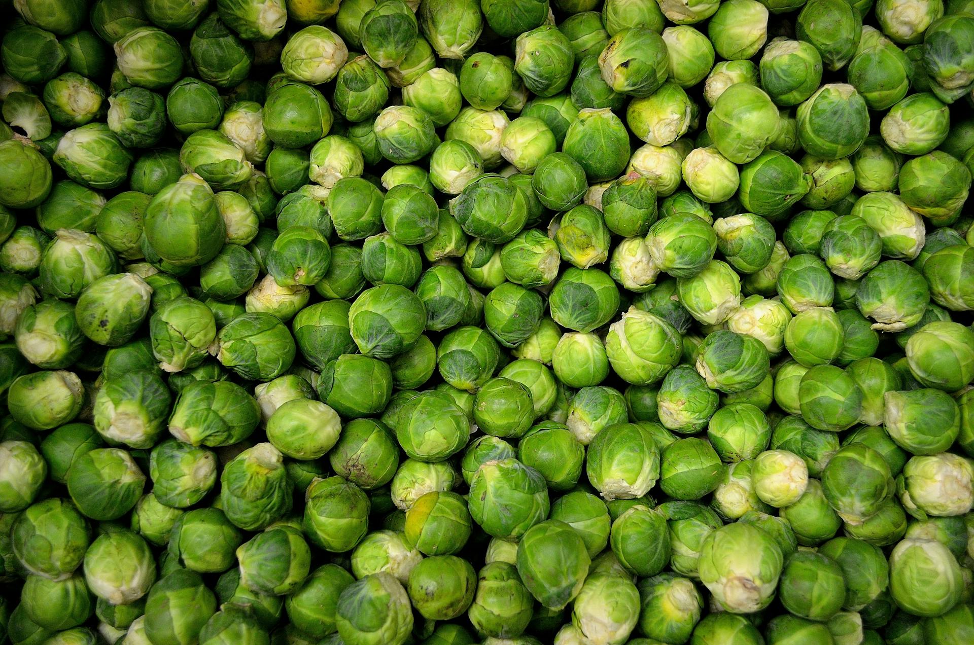 Health Benefits of Brussels Sprouts: Nutrition and Variations