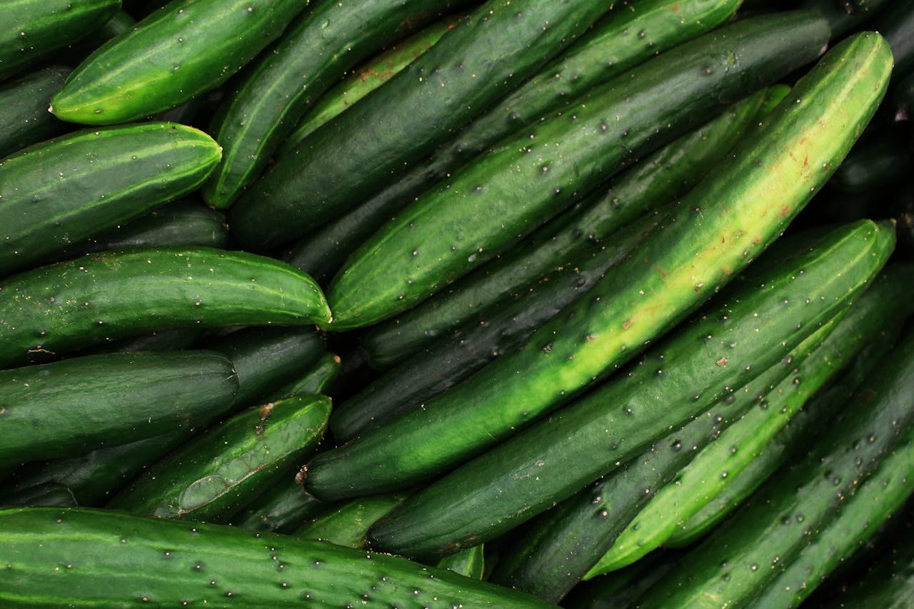 Cucumbers: Healthy Benefits, Types, Culinary Uses, and Tips