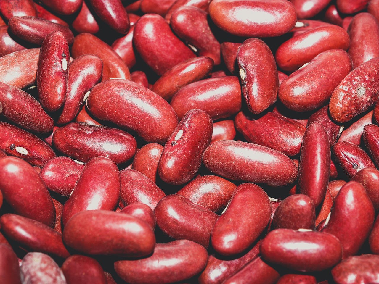 Beans: Are Beans Healthy?