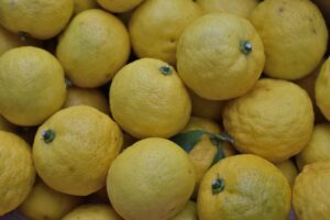 Yuzu Fruit: The Citrus Jewel of Asia
