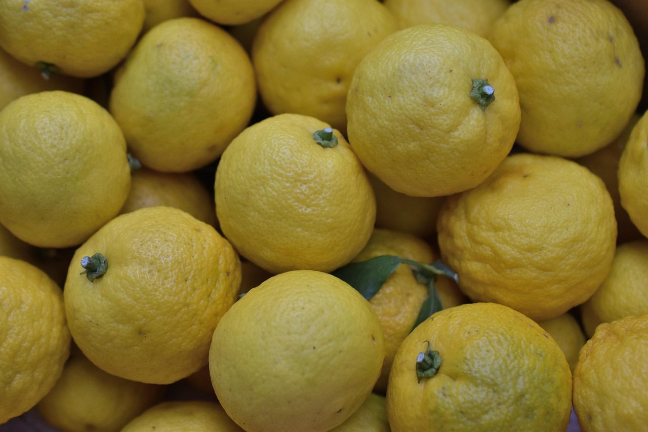 Yuzu Fruit The Citrus Jewel of Asia