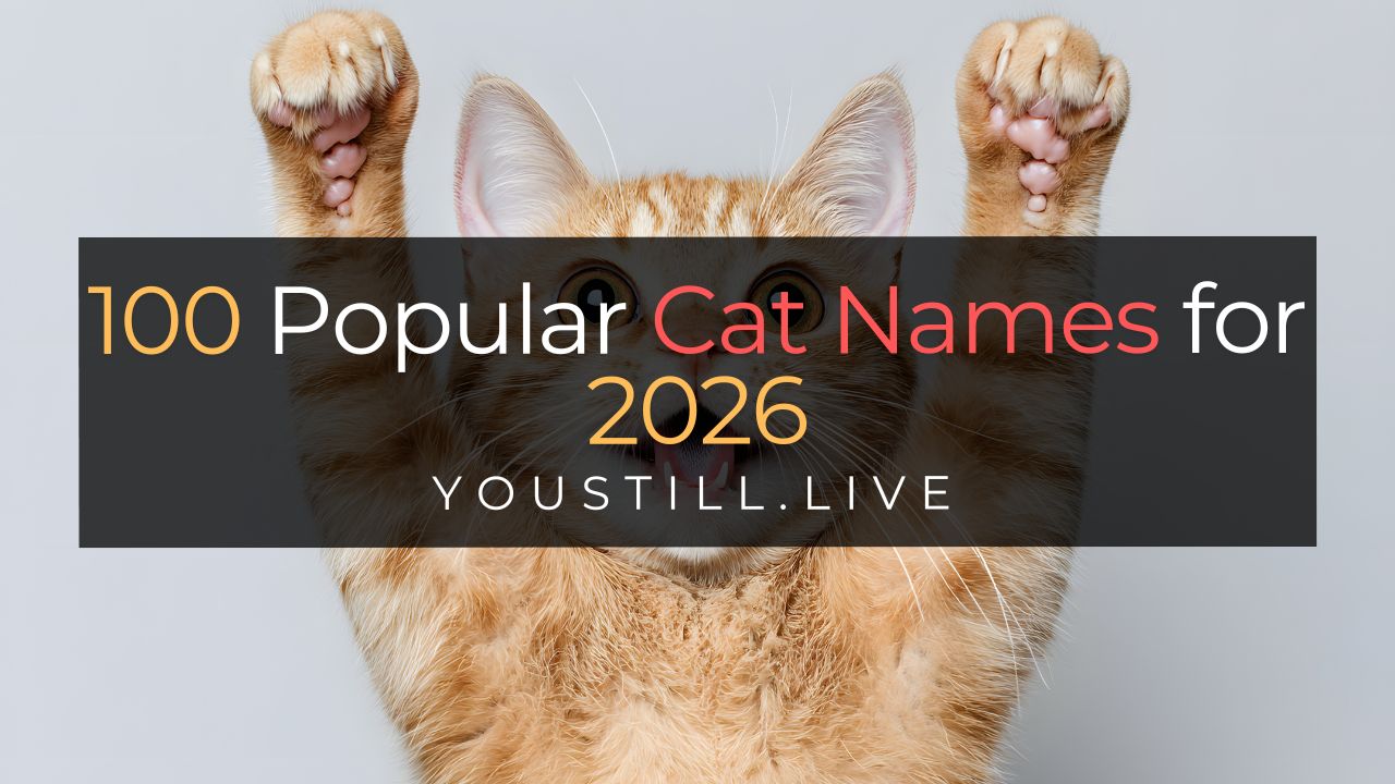 100 Popular Cat Names for 2026